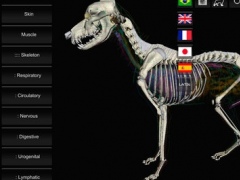 3d canine anatomy software 1.7 free download